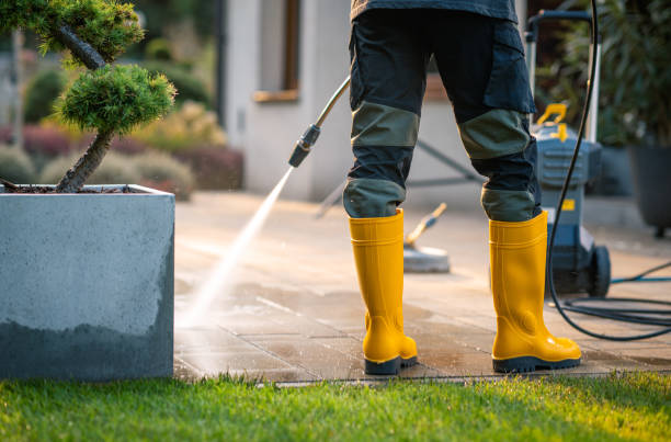 Best Pressure Washing Company Near Me  in Sturgis, MI
